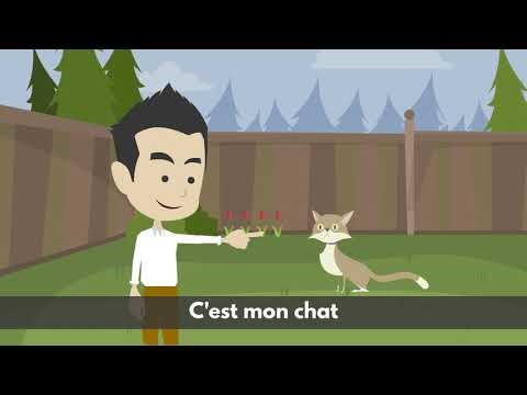  A7 Learn French with stories : Je t'aime