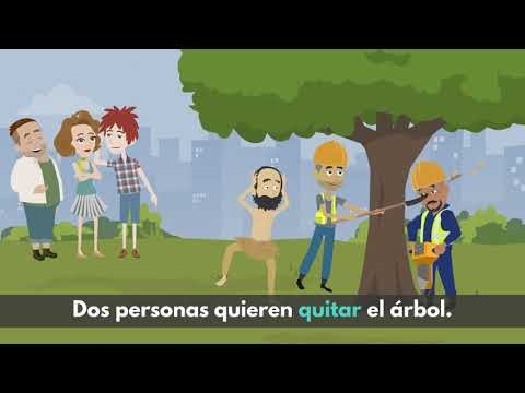  B4 Learn spanish with stories : El árbol